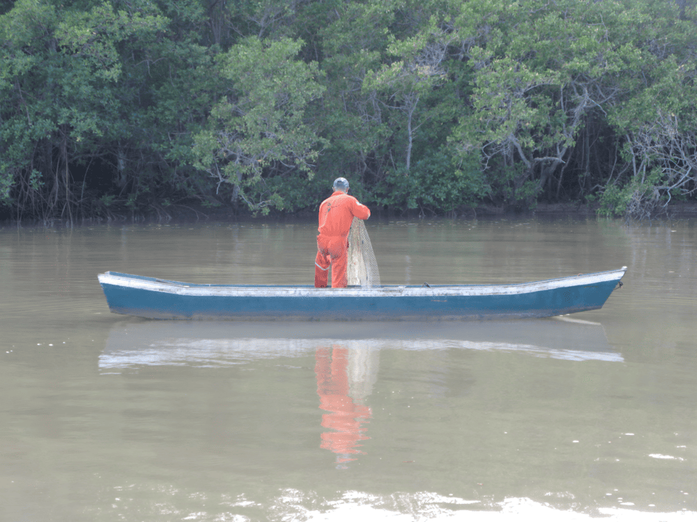 Monitoramento_Ictiofauna